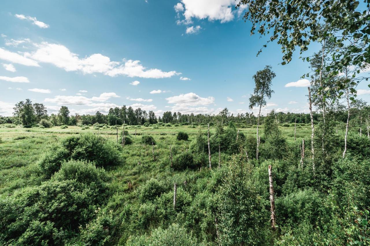 Maidla Nature Resort Ngoại thất bức ảnh